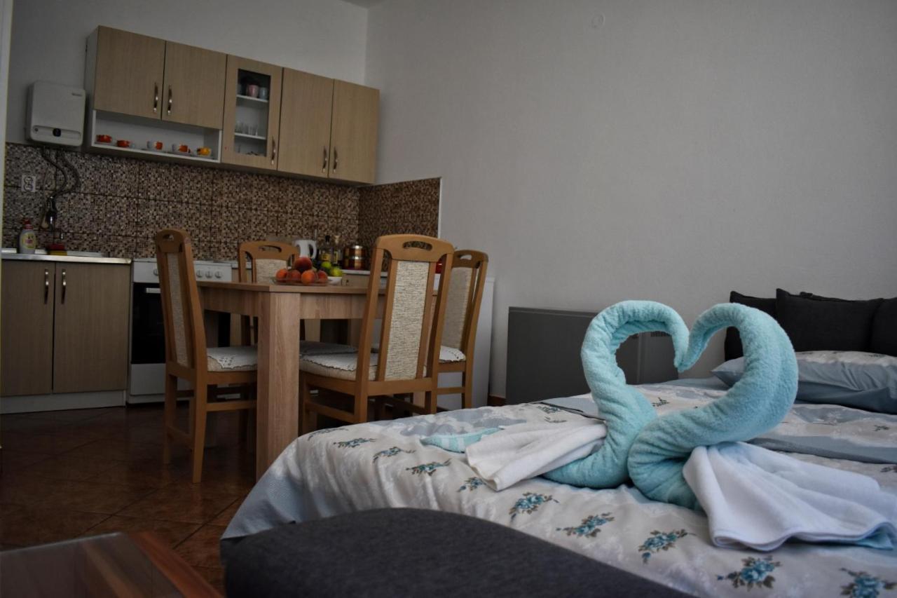 Apartman Samardzic 特雷比涅 外观 照片