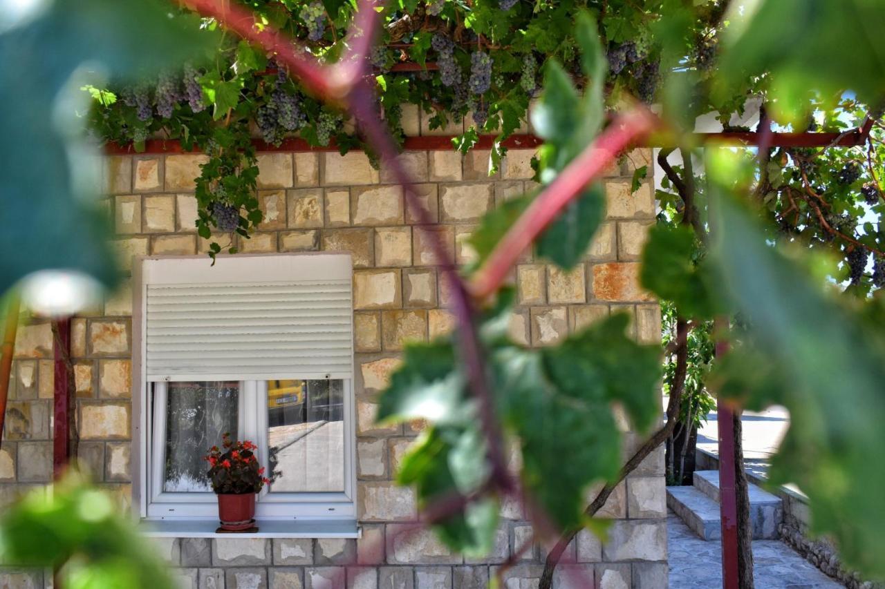 Apartman Samardzic 特雷比涅 外观 照片