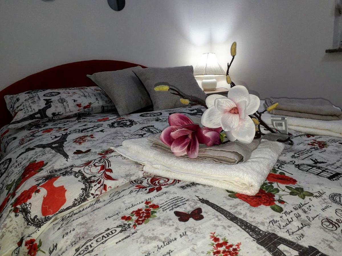 Apartman Samardzic 特雷比涅 外观 照片
