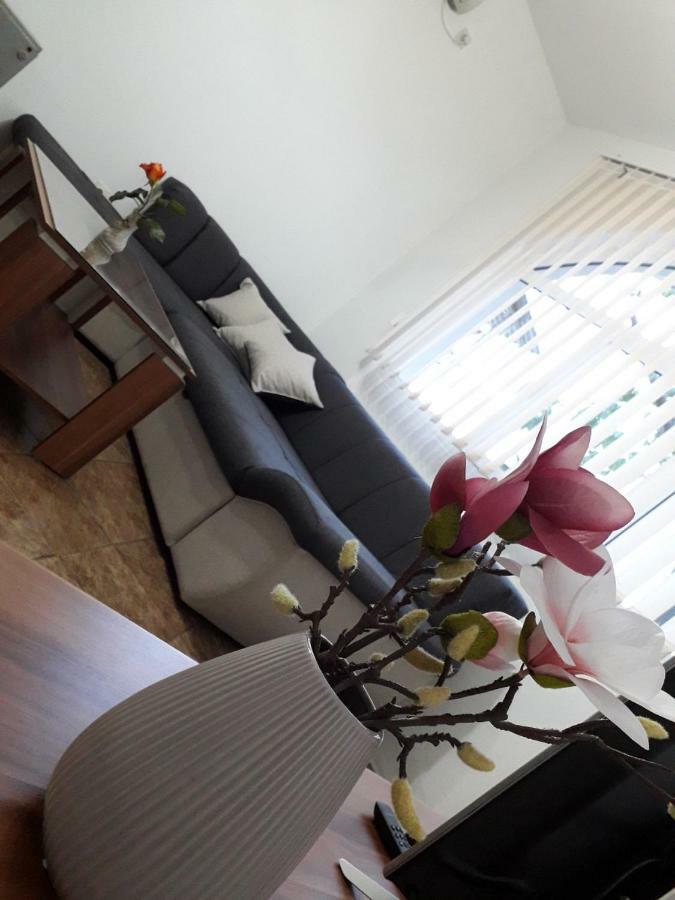 Apartman Samardzic 特雷比涅 外观 照片
