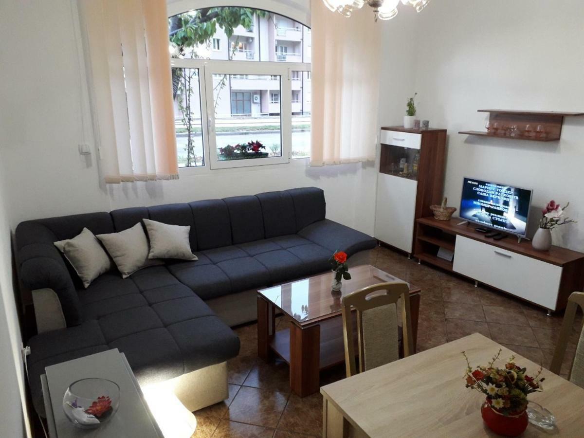 Apartman Samardzic 特雷比涅 外观 照片